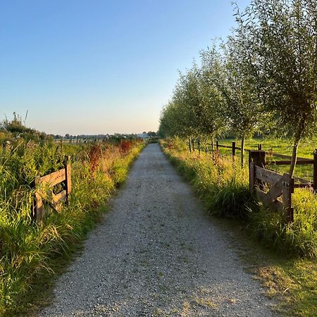 Fields 1216 Bed & Breakfast Zwaanshoek Bagian luar foto