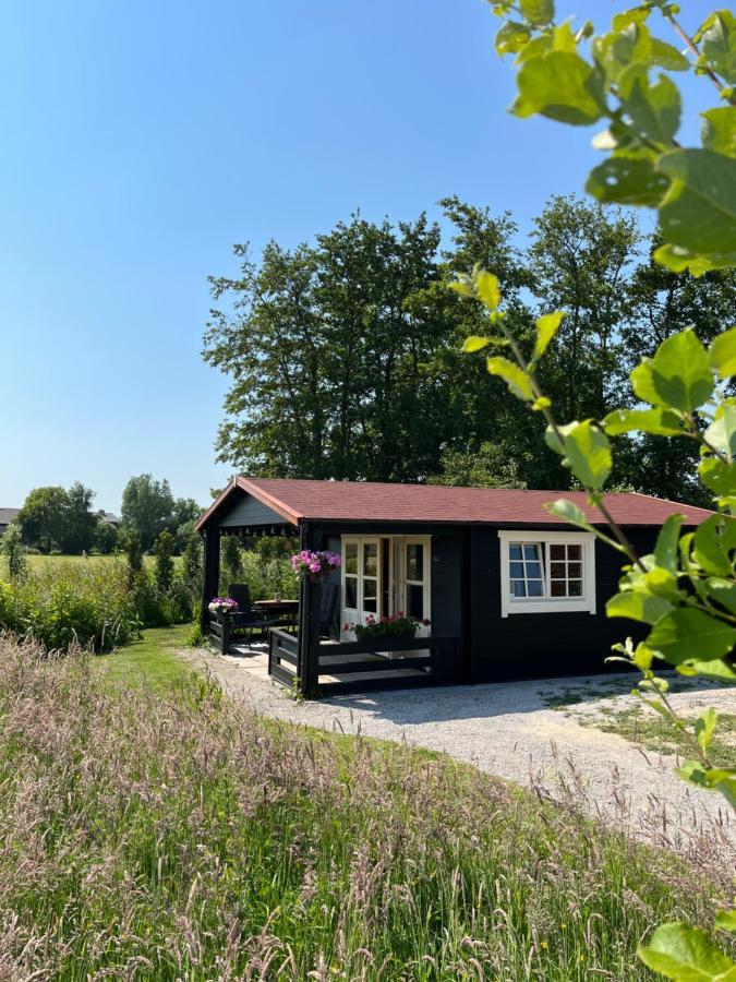 Fields 1216 Bed & Breakfast Zwaanshoek Bagian luar foto